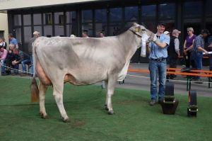 k-1Tagessiegerin BS Blooming BIRKE Markus Waser